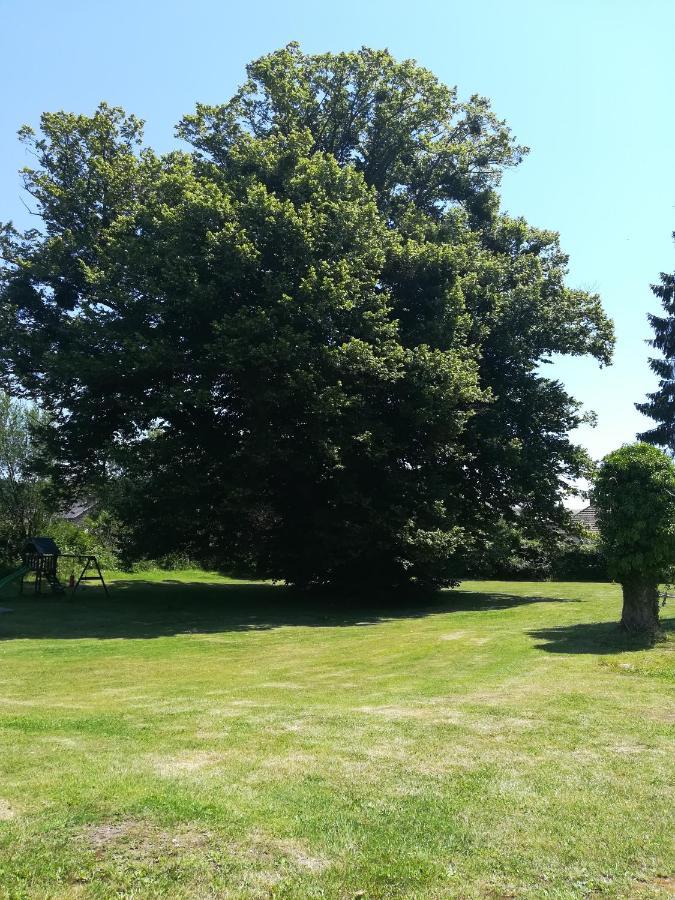 Chateau Gruchet Le Valasse Buitenkant foto